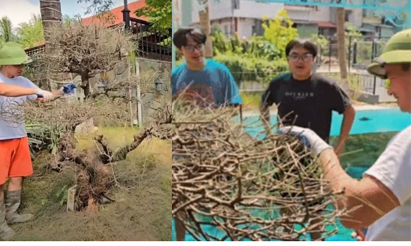 Con trai Xuân Bắc: “Sau này chúng con chỉ muốn trở thành một người giống bố, biết tỉa cây cối”.